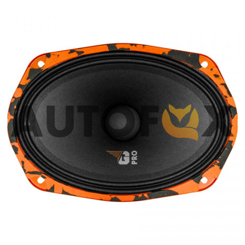 DL Audio Gryphon PRO 69